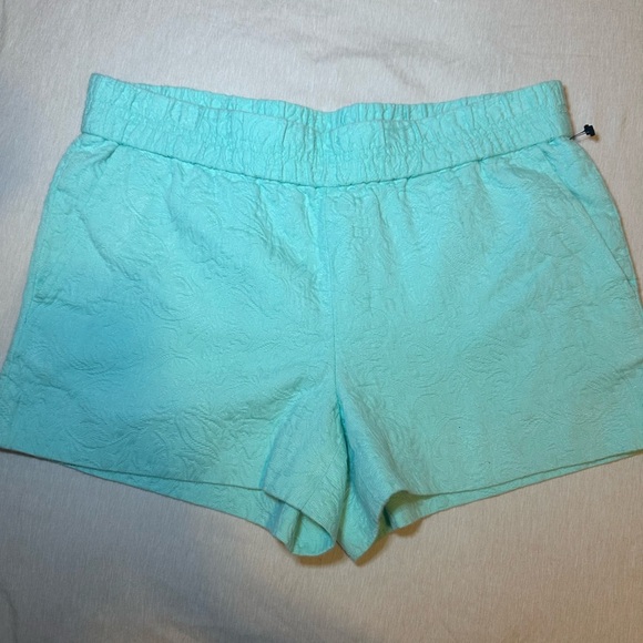 J. Crew Pants - J. Crew Women’s Blue Shorts
